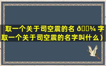 取一个关于司空震的名 🌾 字（取一个关于司空震的名字叫什么）